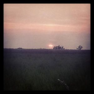 Sunset over the fields