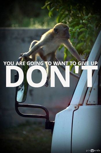 Don't give up