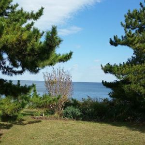 149365_10103098143108228_1795109502176664263_n