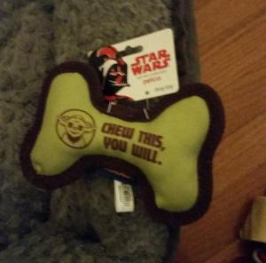 10937362_10103379857255818_221378814_n