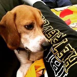 2015-02-17_1424205940