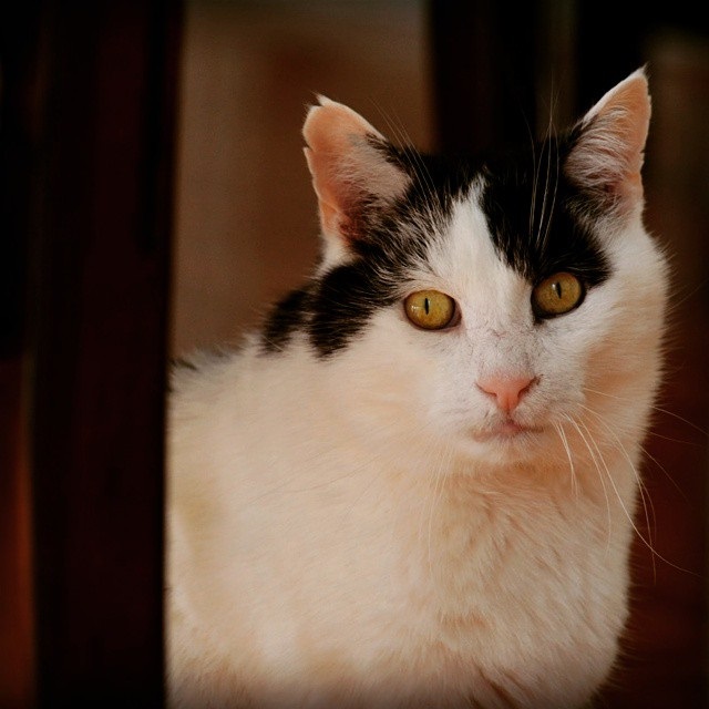 2015-03-09_1425923284